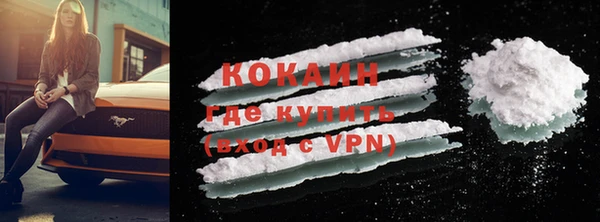 шишки Володарск