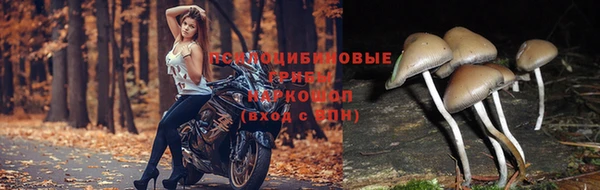 кокаин VHQ Бронницы